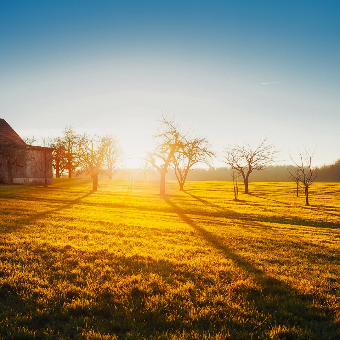 Sua propriedade privada é um espaço sagrado, onde seus direitos são protegidos pela lei.